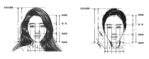 五官與髮際線黃金比例