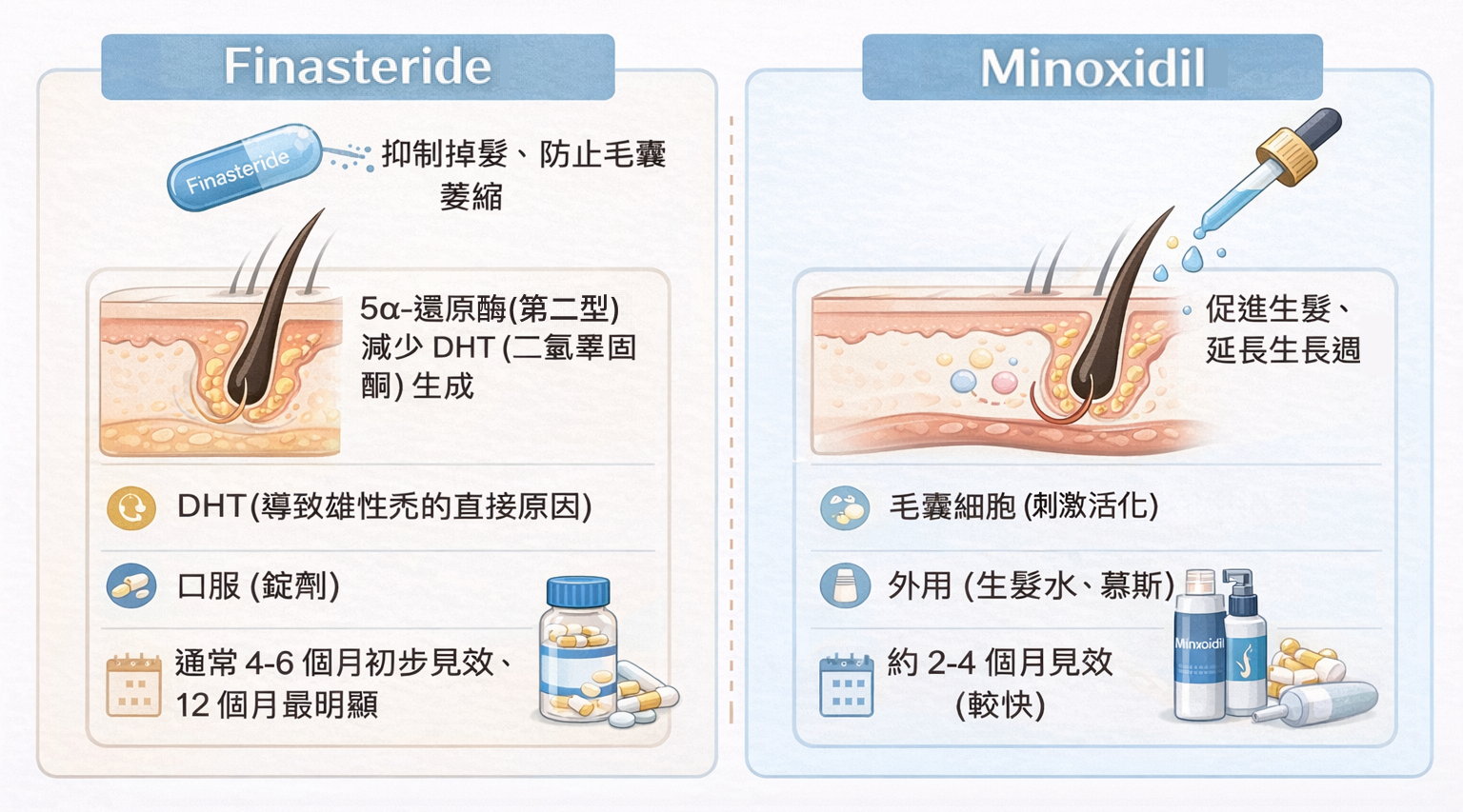 圖：Finasteride 與 Minoxidil 的比較