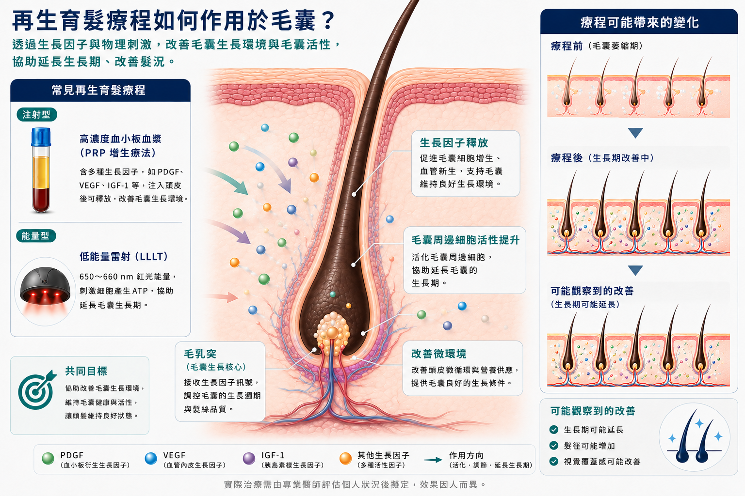 圖：再生育髮療程作用於毛囊的示意圖