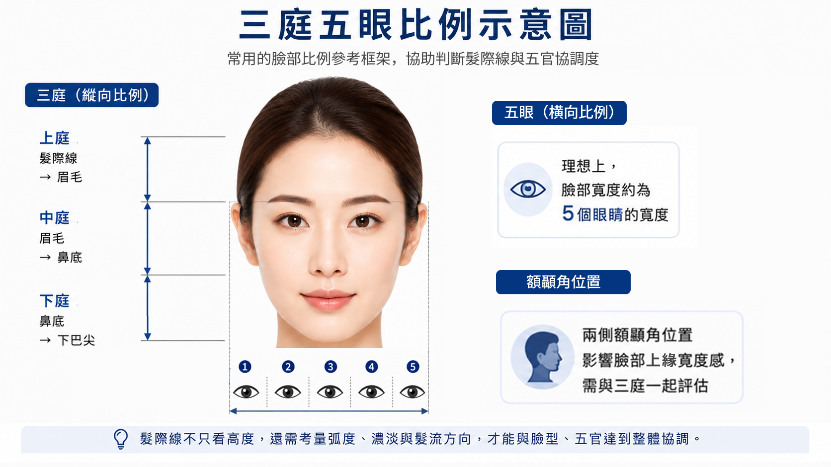 圖：三庭五眼比例示意圖