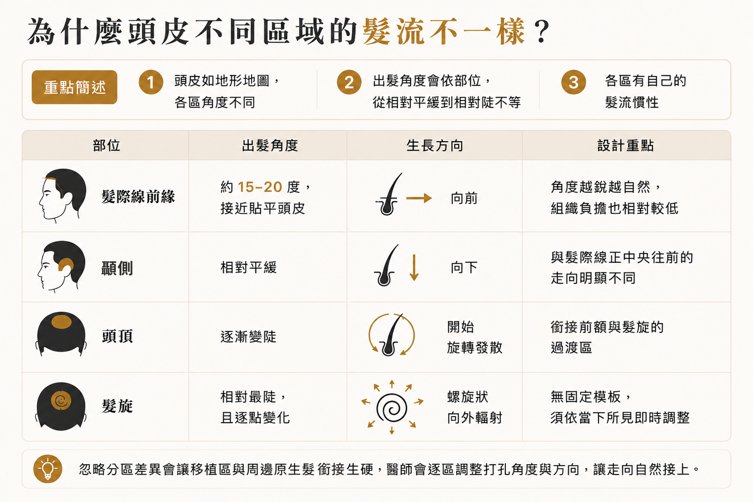 圖：頭皮各區域出髮角度與生長方向對照表