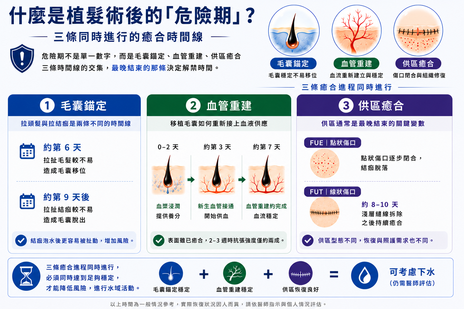 圖：植髮術後三條癒合時間線示意圖