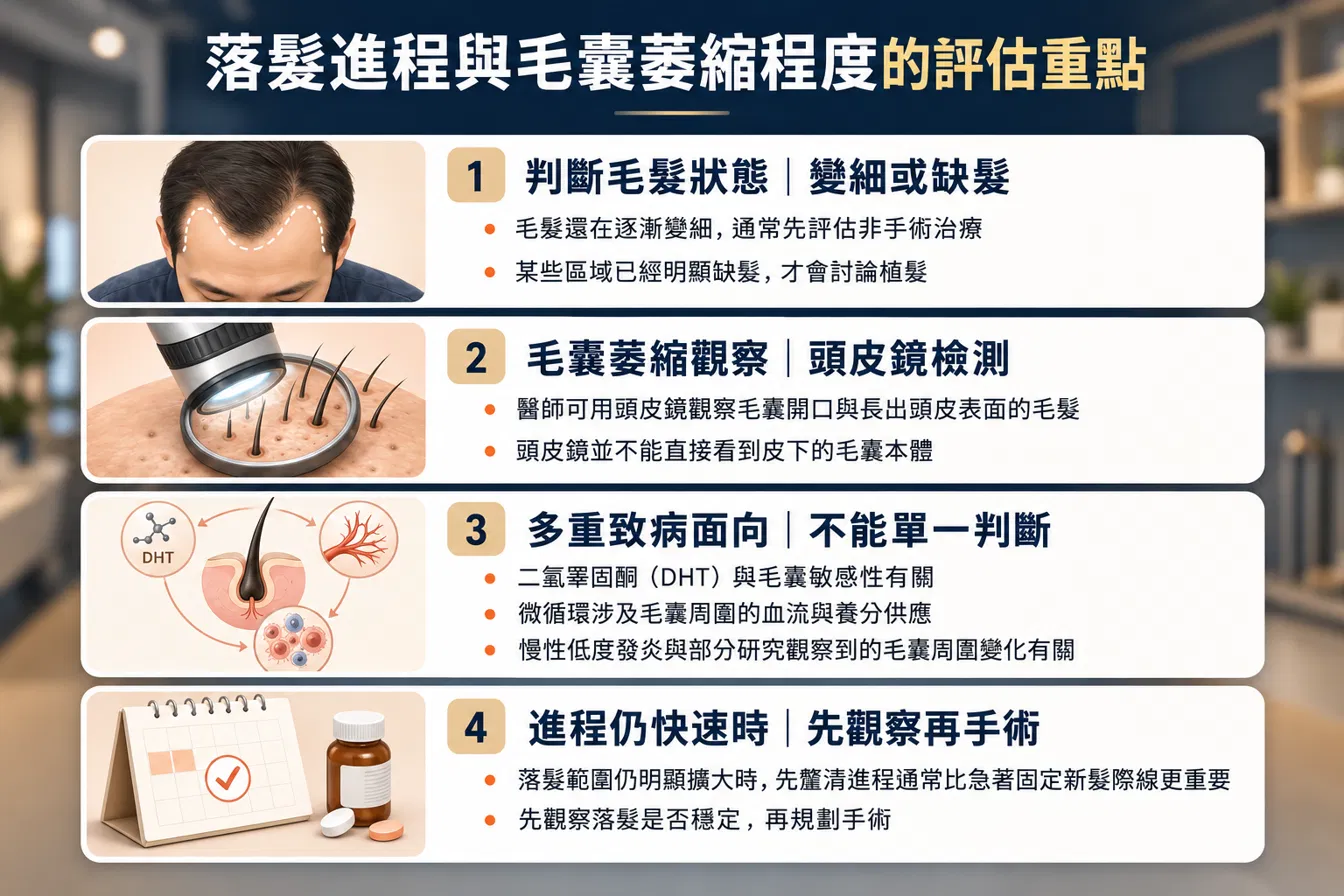 圖：落髮進程與毛囊萎縮程度的評估重點